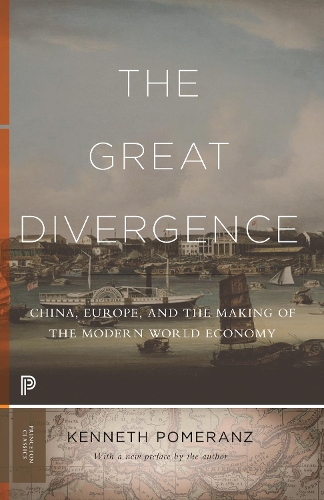 Бумажная книга «The Great Divergence: China, Europe, and the Making of the Modern World Economy», автор Кеннет Померанц - фото №1