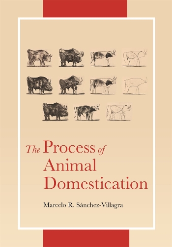 Паперова книга «The Process of Animal Domestication», автор Марсело Санчес-Вільягра - фото №1