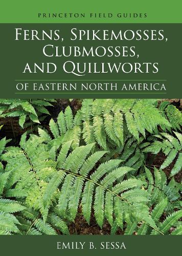 Паперова книга «Ferns, Spikemosses, Clubmosses, and Quillworts of Eastern North America», автор Емілі Сесса - фото №1