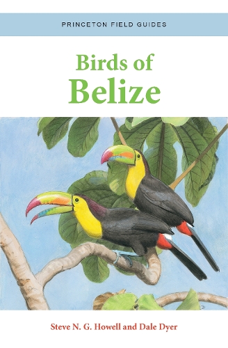 Бумажная книга «Birds of Belize», авторов Дейл Дайер, Стив Н. Г. Хауэлл - фото №1
