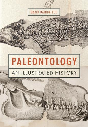 Паперова книга «Paleontology: An Illustrated History», автор Девід Бейнбрідж - фото №1