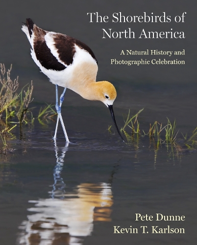 Бумажная книга «The Shorebirds of North America: A Natural History and Photographic Celebration», авторов Кевин Т. Карлсон, Пит Данн - фото №1