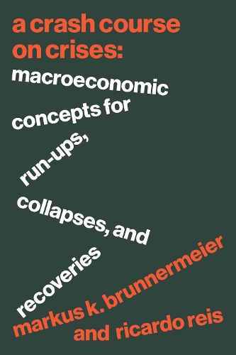 Паперова книга «A Crash Course on Crises: Macroeconomic Concepts for Run-Ups, Collapses, and Recoveries», автор Рікардо Райс - фото №1