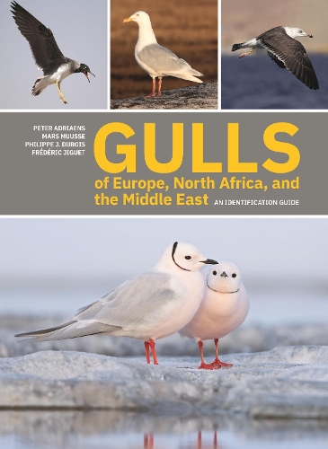 Паперова книга «Gulls of Europe, North Africa, and the Middle East: An Identification Guide», авторів Фредерік Жиге, Марс Мусс, Пітер Адріанс, Філіп Ж. Дюбуа - фото №1