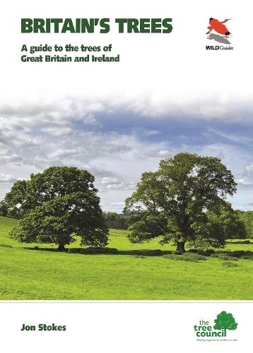 [object Object] «Trees of Britain and Ireland», автор Джон Стоукс - фото №1