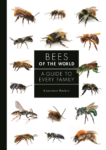 Бумажная книга «Bees of the World: A Guide to Every Family», автор Лоуренс Пакер - фото №1