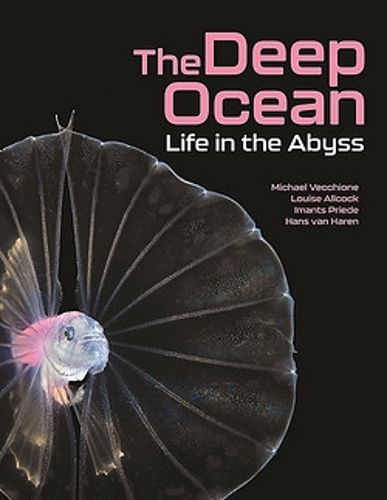 Бумажная книга «The Deep Ocean: Life in the Abyss» - фото №1