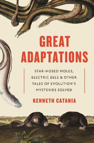 Бумажная книга «Great Adaptations: Star-Nosed Moles, Electric Eels, and Other Tales of Evolution’s Mysteries Solved», автор Кеннет Катания - фото №1