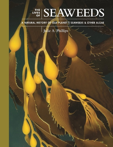 Бумажная книга «The Lives of Seaweeds: A Natural History of Our Planet's Seaweeds and Other Algae», автор Джули А. Филлипс - фото №1