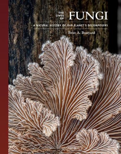 Бумажная книга «The Lives of Fungi: A Natural History of Our Planet's Decomposers», автор Бритт А. Баньярд - фото №1