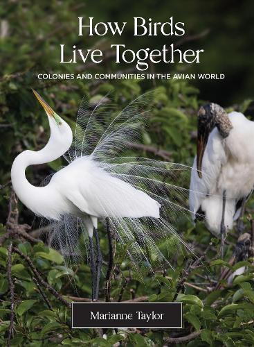 Бумажная книга «How Birds Live Together: Colonies and Communities in the Avian World», автор Марианна Тейлор - фото №1