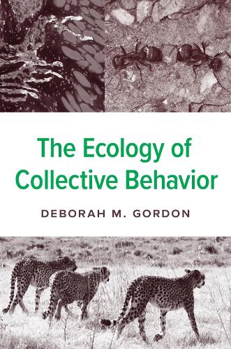 Бумажная книга «The Ecology of Collective Behavior», автор Дебора М. Гордон - фото №1