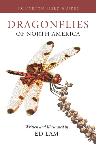 Паперова книга «Dragonflies of North America», автор Ед Лам - фото №1