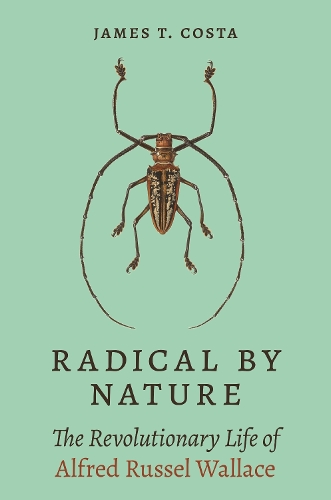 Паперова книга «Radical by Nature: The Revolutionary Life of Alfred Russel Wallace», автор Джеймс Т. Коста - фото №1