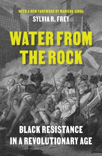 Бумажная книга «Water from the Rock: Black Resistance in a Revolutionary Age», автор Сильвия Р. Фрей - фото №1