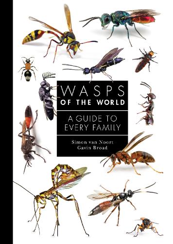 Бумажная книга «Wasps of the World: A Guide to Every Family», авторов Гэвин Брод, Саймон ван Нурт - фото №1