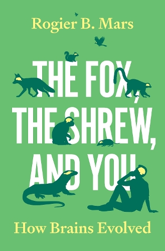 Бумажная книга «The Fox, the Shrew, and You: How Brains Evolved», автор Рожье Б. Марс - фото №1