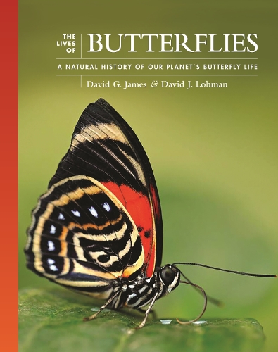 Бумажная книга «The Lives of Butterflies: A Natural History of Our Planet's Butterfly Life», авторов Дэвид Г. Джеймс, Дэвид Дж. Лохман - фото №1