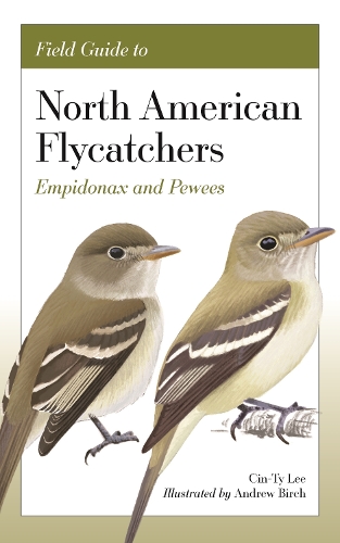 Бумажная книга «Field Guide to North American Flycatchers: Empidonax and Pewees», авторов Эндрю Берч, Син-Ти Ли - фото №1