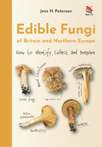 Бумажная книга «Edible Fungi of Britain and Northern Europe: How to Identify, Collect and Prepare» - фото №1