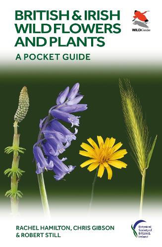 Бумажная книга «British and Irish Wild Flowers and Plants: A Pocket Guide», авторов Крис Гибсон, Рэйчел Гамильтон, Роберт Стилл - фото №1
