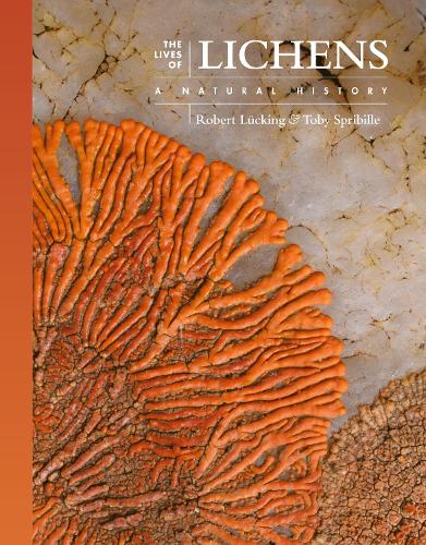 Бумажная книга «The Lives of Lichens: A Natural History», авторов Роберт Люкинг, Тоби Сприбилл - фото №1