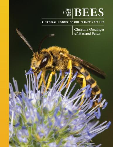 Бумажная книга «The Lives of Bees: A Natural History of Our Planet's Bee Life», авторов Кристина Грозингер, Харланд Пэтч - фото №1