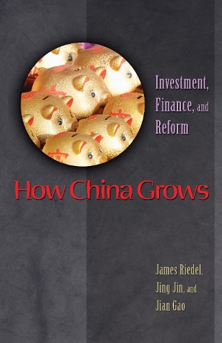 Бумажная книга «How China Grows: Investment, Finance, and Reform», авторов Джеймс Ридель, Цзянь Гао, Цзин Цзинь - фото №1