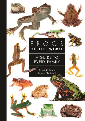 [object Object] «Frogs of the World: A Guide to Every Family», авторов Марк О'ши, Саймон Мэддок - фото №1