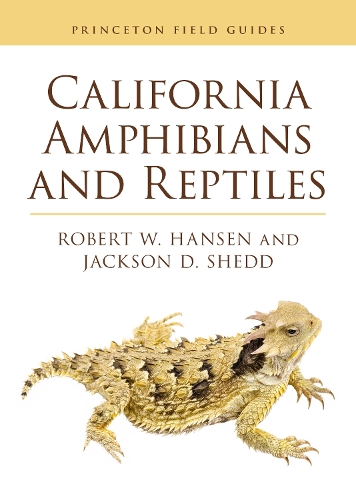 Паперова книга «California Amphibians and Reptiles», авторів Джексон Д. Шедд, Роберт Хансен - фото №1