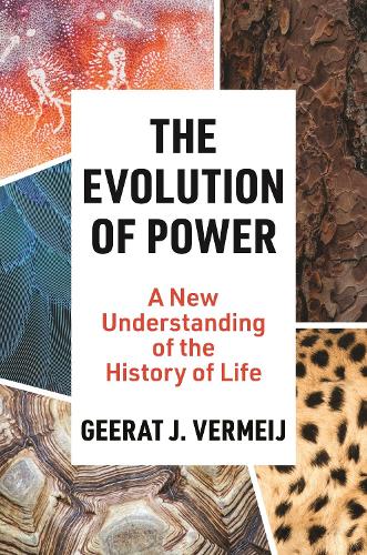Паперова книга «The Evolution of Power: A New Understanding of the History of Life», автор Гірат Вермей - фото №1
