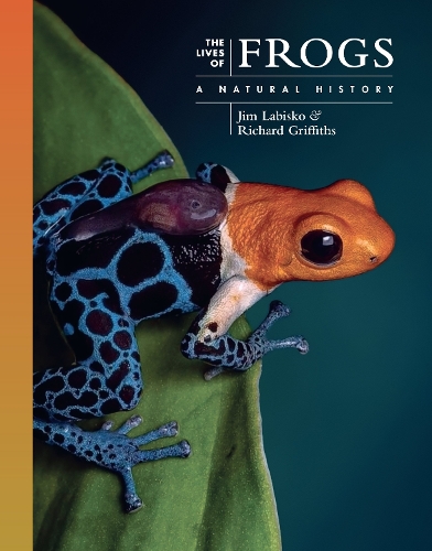 Паперова книга «The Lives of Frogs: A Natural History», авторів Джим Лабіско, Річард Гріффітс - фото №1