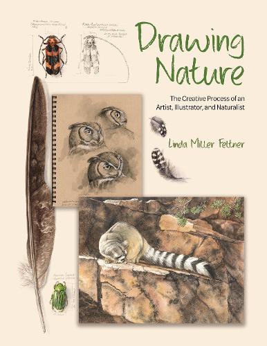 Паперова книга «Drawing Nature: The Creative Process of an Artist, Illustrator, and Naturalist», автор Лінда Міллер Фельтнер - фото №1