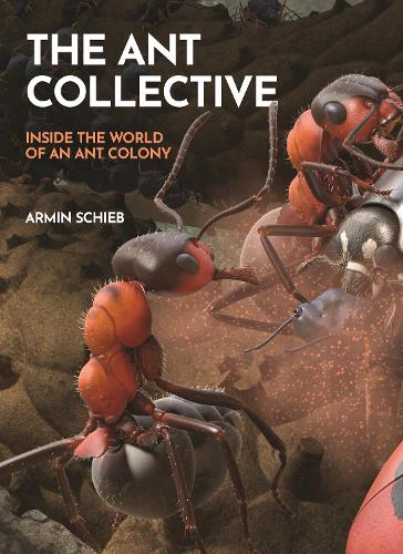 Бумажная книга «The Ant Collective: Inside the World of an Ant Colony», автор Армин Шиб - фото №1