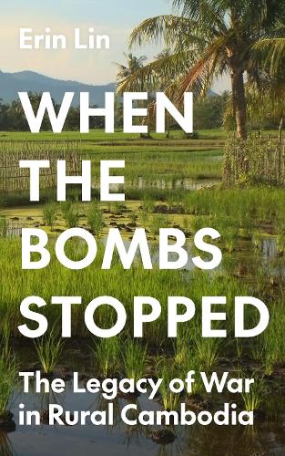 Бумажная книга «When the Bombs Stopped: The Legacy of War in Rural Cambodia», автор Эрин Лин - фото №1