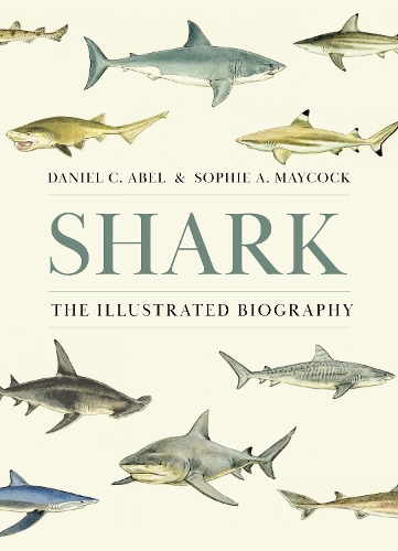Бумажная книга «Shark: The Illustrated Biography», автор Дэниел К. Абель - фото №1