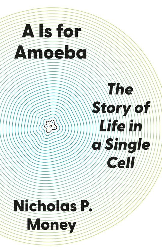 Paper book «A Is for Amoeba: The Story of Life in a Single Cell», author Nicholas P. Money - фото №1