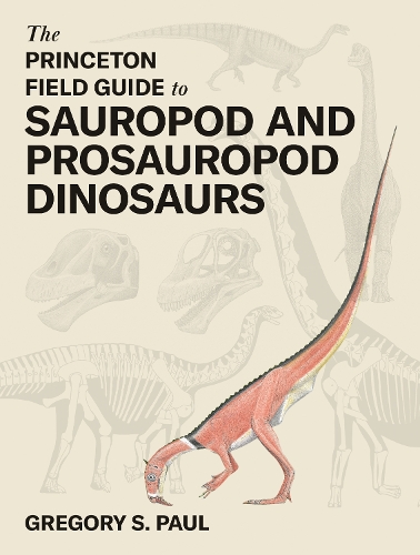 Паперова книга «The Princeton Field Guide to Sauropod and Prosauropod Dinosaurs», автор Грегорі С. Пол - фото №1