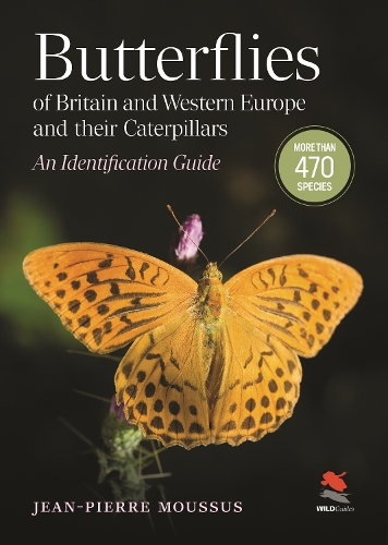 Бумажная книга «Butterflies of Britain and Western Europe and Their Caterpillars: An Identification Guide», автор Жан-Пьер Муссус - фото №1