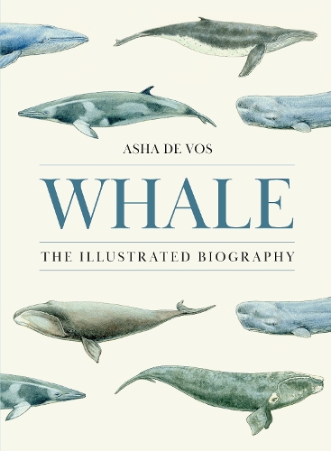 Бумажная книга «Whale: The Illustrated Biography», автор Аша де Вос - фото №1