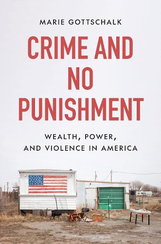Бумажная книга «Crime and No Punishment: Wealth, Power, and Violence in America», автор Мари Готтшалк - фото №1