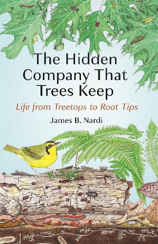 Бумажная книга «The Hidden Company That Trees Keep: Life from Treetops to Root Tips», автор Джеймс Б. Нарди - фото №1