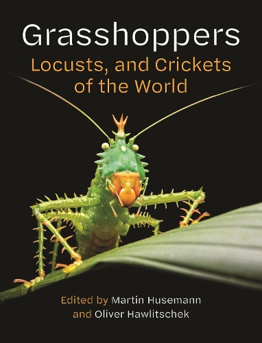 Паперова книга «Grasshoppers, Locusts, and Crickets of the World», авторів Мартін Хуземан, Олівер Говлічек - фото №1