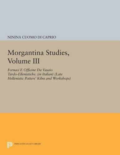 Бумажная книга «Morgantina Studies, Volume III: Fornaci e Officine da Vasaio Tardo-ellenistiche. (In Italian) (Late Hellenistic Potters' Kilns and Workshops)», автор Нинина Куомо ди Каприо - фото №1