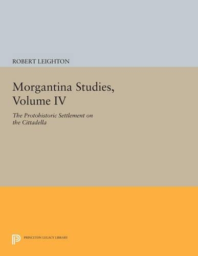 Бумажная книга «Morgantina Studies, Volume IV: The Protohistoric Settlement on the Cittadella», автор Роберт Лейтон - фото №1