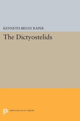 Паперова книга «The Dictyostelids», автор Кеннет Брайан Репер - фото №1