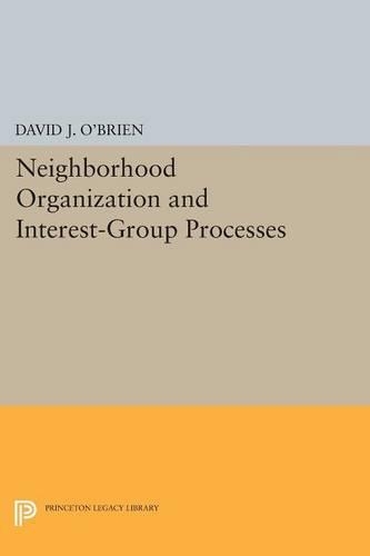 Бумажная книга «Neighborhood Organization and Interest-Group Processes», автор Дэвид Дж. О'Брайен - фото №1