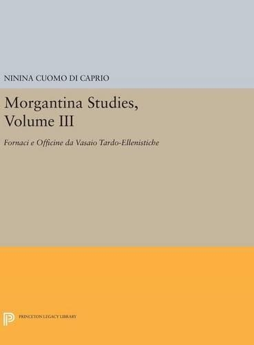 Бумажная книга «Morgantina Studies, Volume III: Fornaci e Officine da Vasaio Tardo-ellenistiche. (In Italian) (Late Hellenistic Potters' Kilns and Workshops)», автор Нинина Куомо ди Каприо - фото №1
