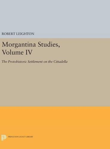 Бумажная книга «Morgantina Studies, Volume IV: The Protohistoric Settlement on the Cittadella», автор Роберт Лейтон - фото №1