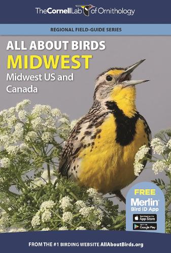 Бумажная книга «All About Birds Midwest: Midwest US and Canada», автор Корнельская лаборатория орнитологии - фото №1